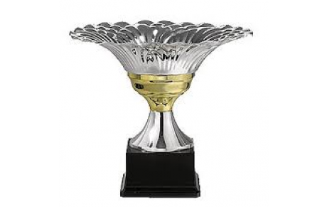 32 TàT TD Promotion le dim 27 janvier